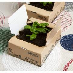 Growth Box Mini Kasvualusta 3kpl setti